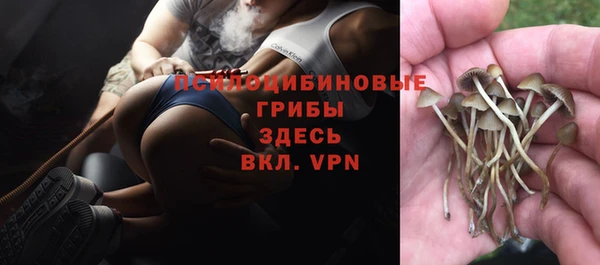 таблы Суровикино
