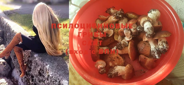 ALPHA PVP Пестово